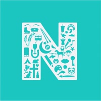 NatashasFoundation