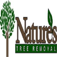NaturesTreeRemovalofHouston