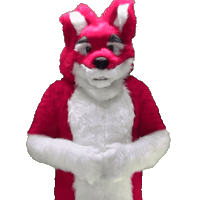 NaveMcCanine