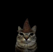 NeverSkeld