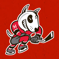 NiagaraIceDogs