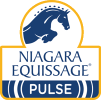 Niagaraequissage