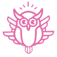 NightOwlCookieCo