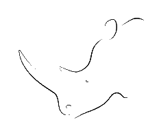 Nkomberhino