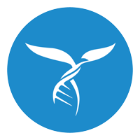 NuviGlobal