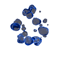 SSDMSdesign