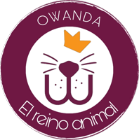 Owandaelreinoanimal