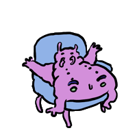 Pafo