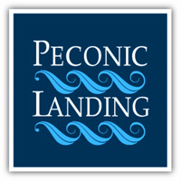 PeconicLanding