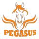 PegasusSolucionesIntegrales