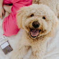 PetsBest