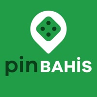 Pinbahiiss