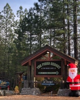 PinesResort