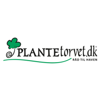 Plantetorvet