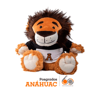 PosgradosAnahuac