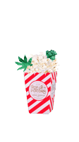 Potcorn