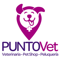 PuntoVet