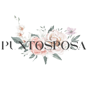 Puntosposa