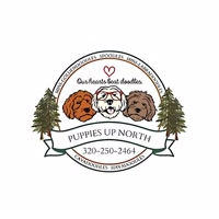 Puppiesupn01