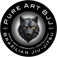 Pure-Art-BJJ-Portsmouth-Brazilian-Jiu-Jitsu