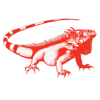 RJ_Iguanas