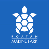 ROATANMP