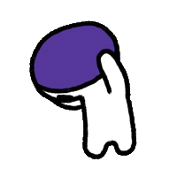 xindy_