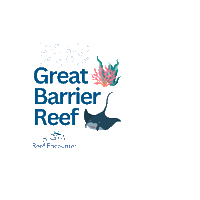 Reef_Experience
