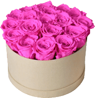 RoseMaven