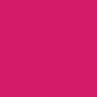 Rotaract4281