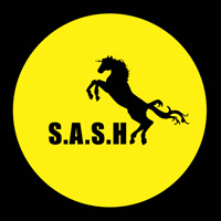S-A-S-H