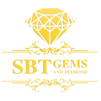 SBTGEMS