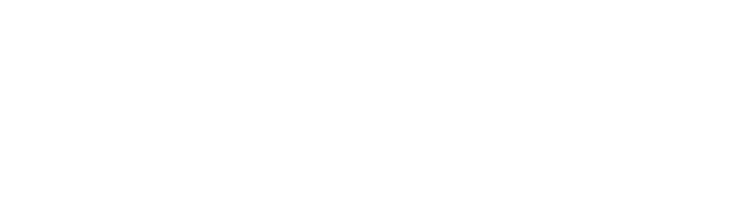 SHAPEobstacles