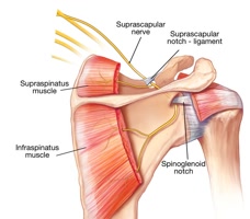 SPORTMEDLAB