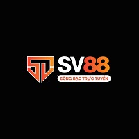 SV88vorg