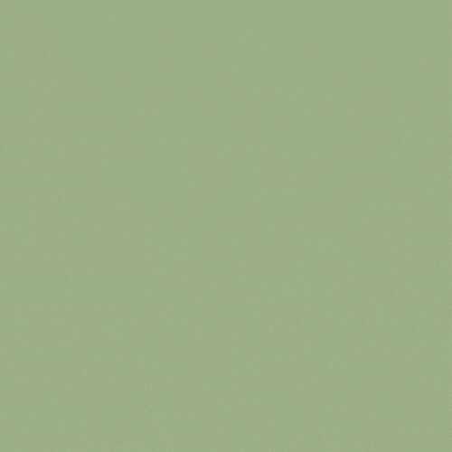 Insta GIFs on GIPHY Be Animated