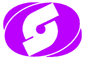 SalsationisNOW