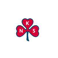 Sanitetskvinnene