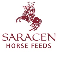 SaracenHorseFeeds