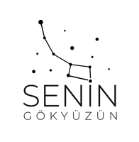 Seningokyuzuncom