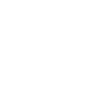 Shoepalace