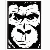 Slickgorilla