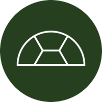 Slowturtleshop