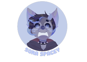 SoraSpacey