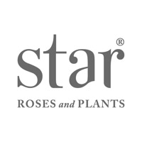 Starrosesandplants