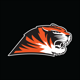 SuffieldAcademyTigers