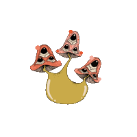 SwampSprouts