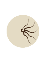 SOLANGISM