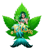 THSeaSiren