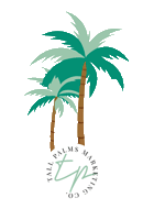 TallPalms